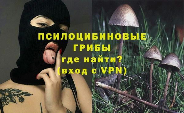 дурь Аркадак