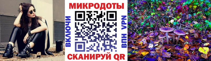 где купить наркотик Славск Псилоцибиновые грибы мухоморы